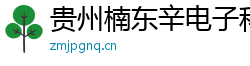 贵州楠东辛电子科技有限公司